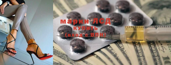 гашик Заводоуковск