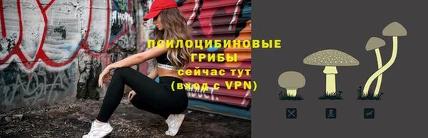 гашик Заводоуковск