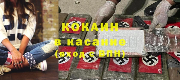 прущие грибы Елизово