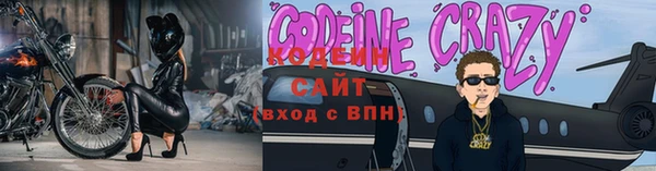 прущие грибы Елизово