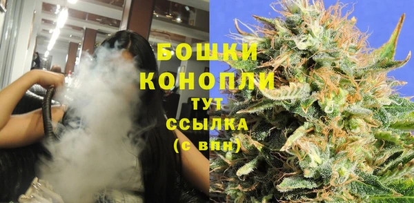 прущие грибы Елизово