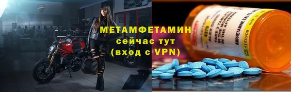 прущие грибы Елизово