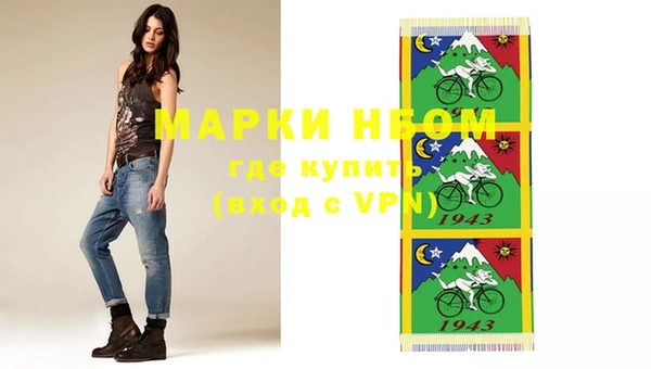 гашик Заводоуковск