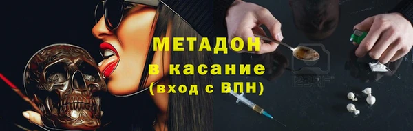 прущие грибы Елизово