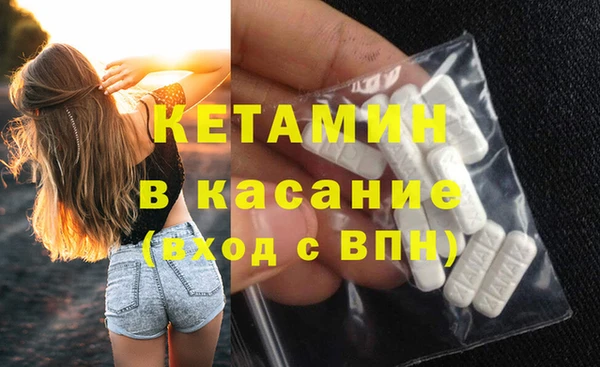 прущие грибы Елизово