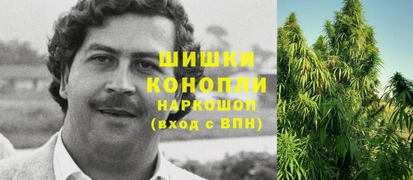 прущие грибы Елизово
