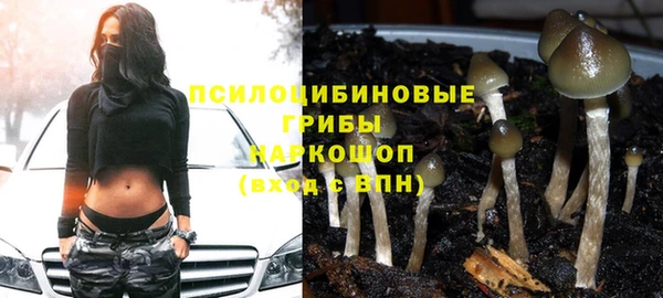 гашик Заводоуковск