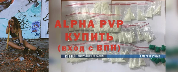 гашик Заводоуковск