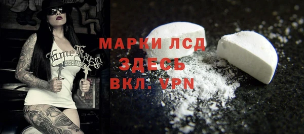 гашик Заводоуковск