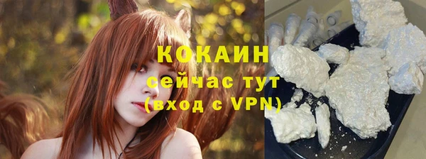 гашик Заводоуковск