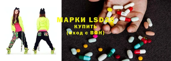 гашик Заводоуковск